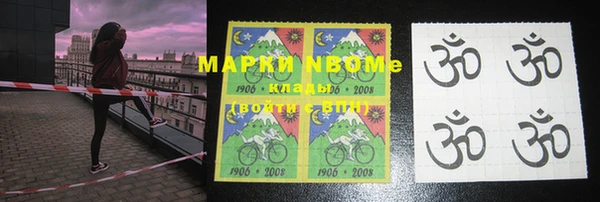 прущие грибы Гусев