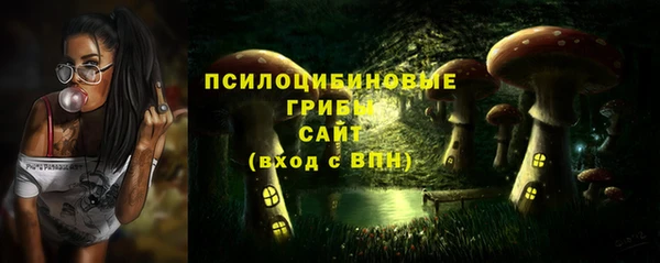 прущие грибы Гусев