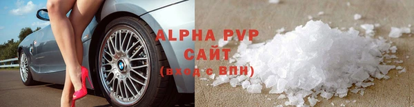прущие грибы Гусев