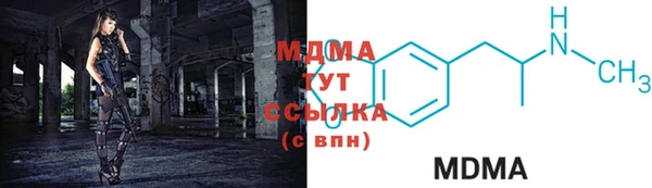 прущие грибы Гусев
