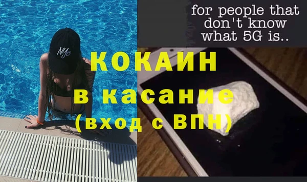 дживик Гусь-Хрустальный