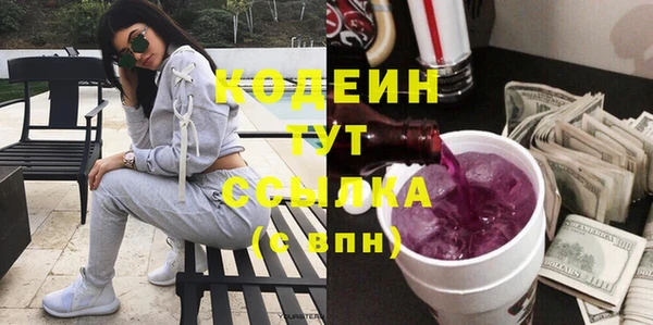 прущие грибы Гусев