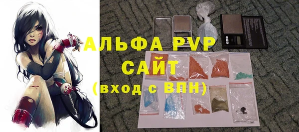 дживик Гусь-Хрустальный