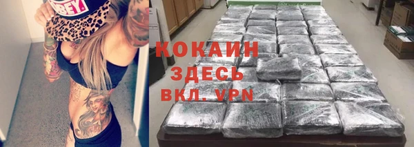 прущие грибы Гусев