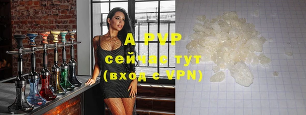 дживик Гусь-Хрустальный