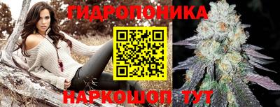 хмурый Аргун