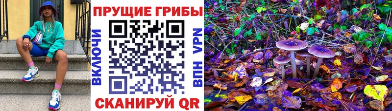 Псилоцибиновые грибы Cubensis  купить наркотики цена  Барнаул 