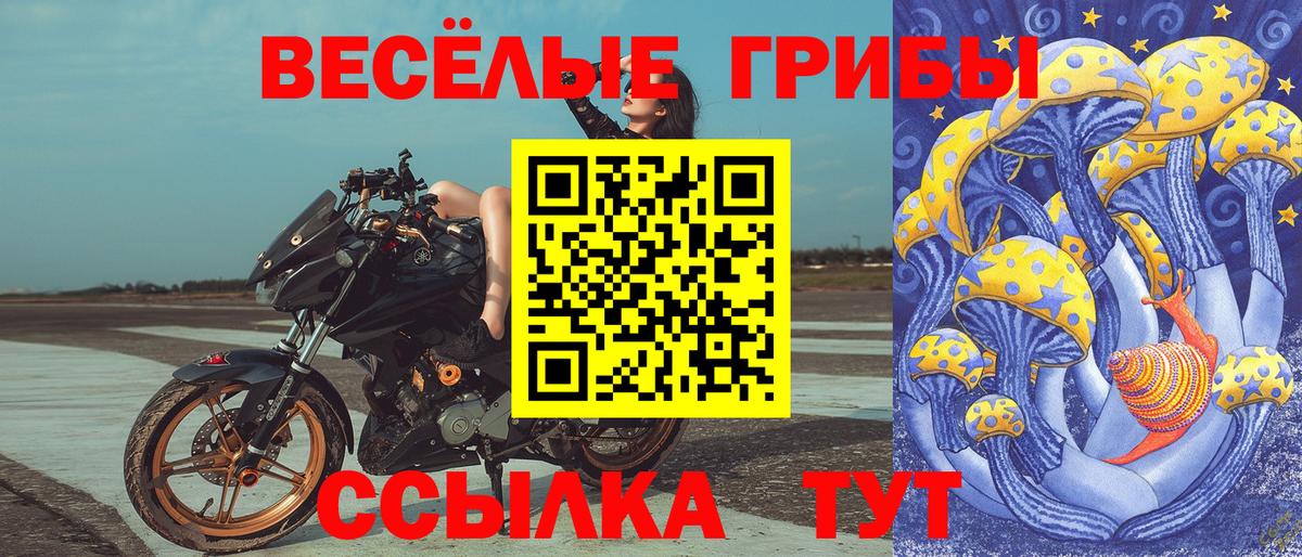 Псилоцибиновые грибы Magic Shrooms  Барнаул 