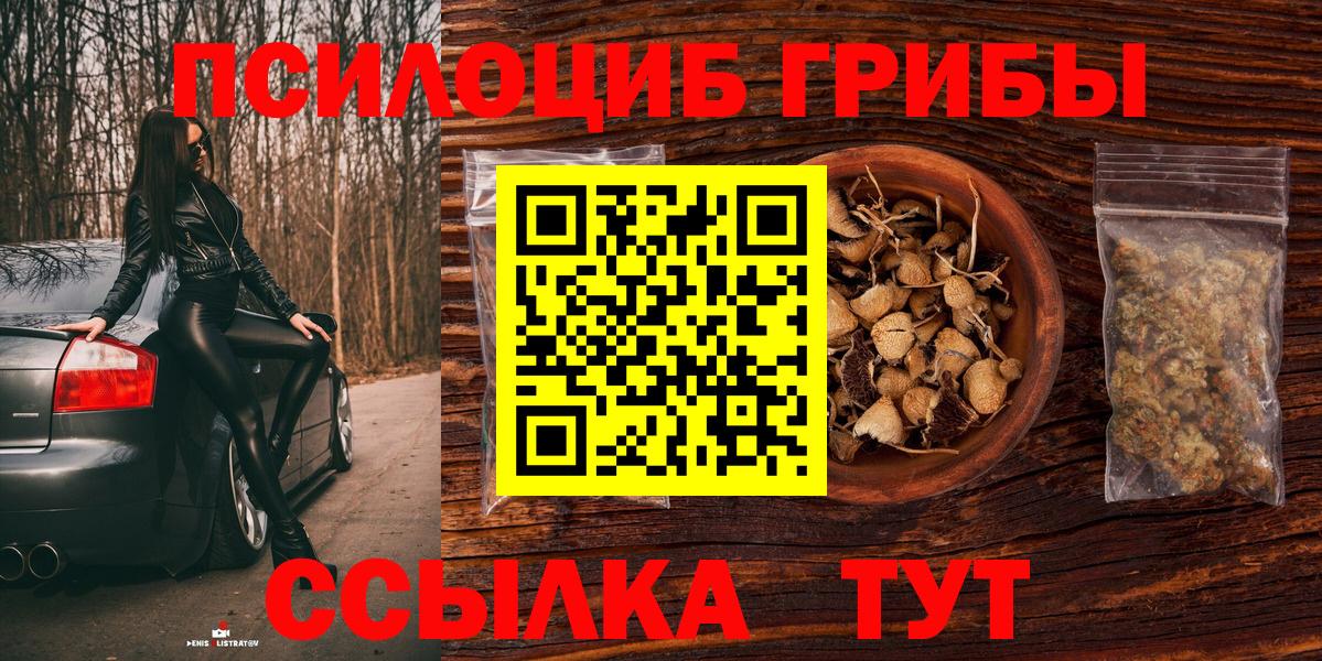 Галлюциногенные грибы Cubensis Барнаул