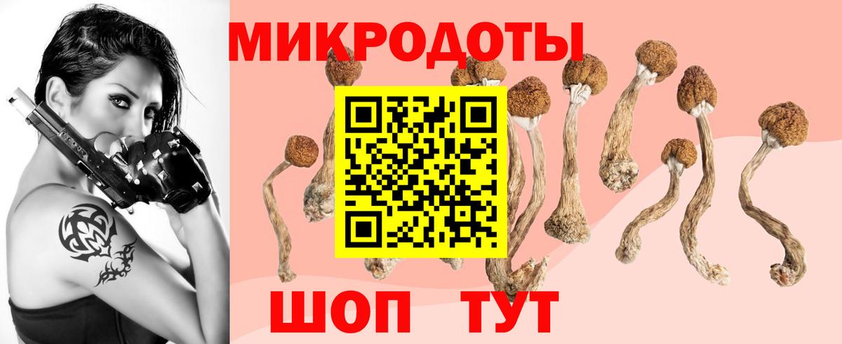 Псилоцибиновые грибы GOLDEN TEACHER  Вход с VPN  Барнаул 