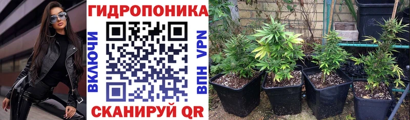 цены   Барнаул  Канабис семена 